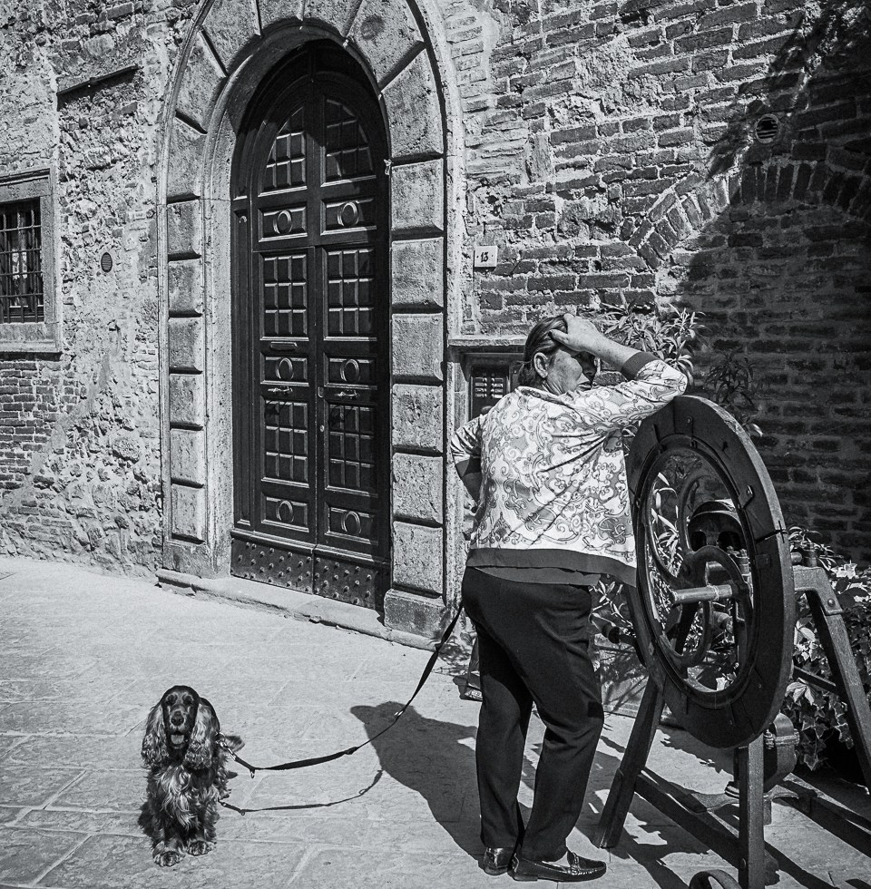 A Dog and his Master