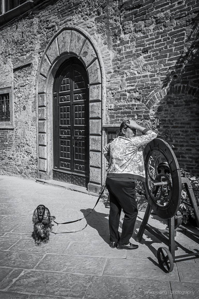 A Dog and his Master