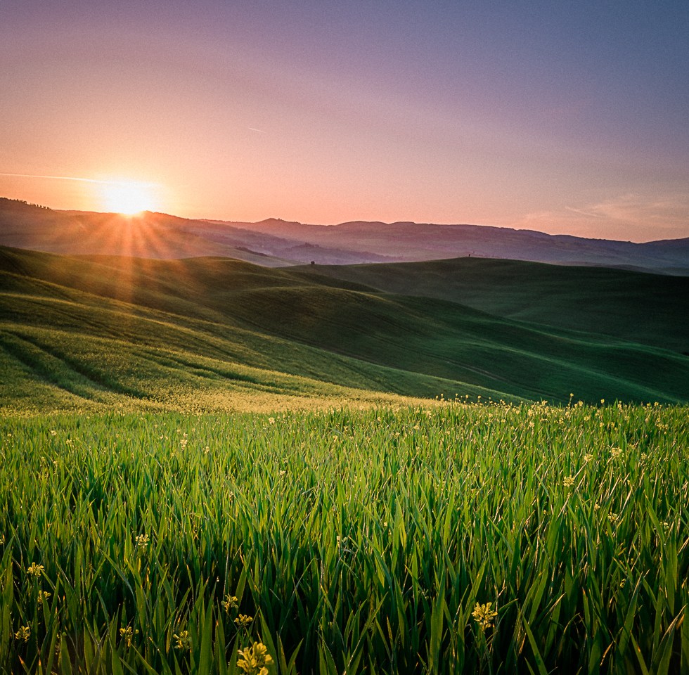 Crete Senesi #leica #leicaphotography #leicaq #leicatyp116 #summilux #cretesenesi #tuscany #vald'orcia #landscape #landscapephotography #travel #travelphotography #terenceongphotography