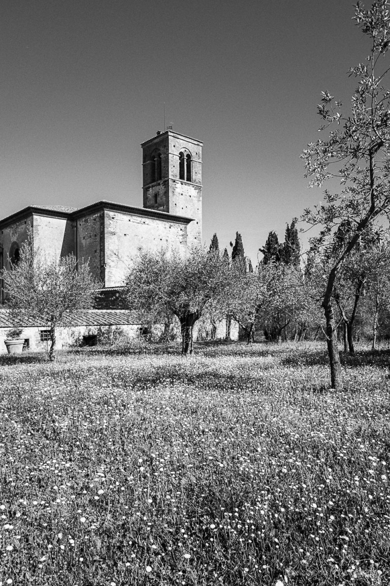 Monastero di Sta Anna in Camprena